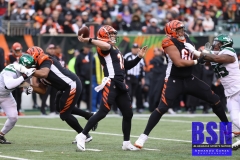 Bengals0056