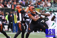 Bengals0057