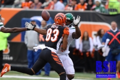 Bengals0058