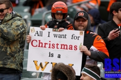 Bengals0062