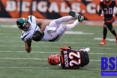 Bengals0063