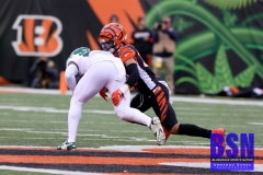 Bengals0064