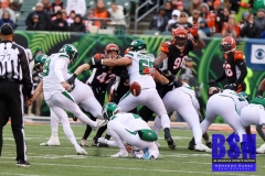 Bengals0065