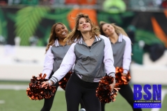 Bengals0068