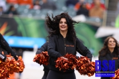 Bengals0069