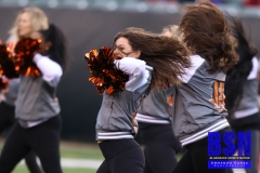 Bengals0070