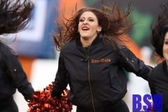 Bengals0071