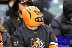 Bengals0072