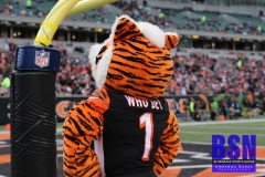 Bengals0073