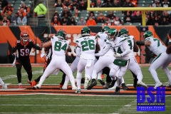 Bengals0074
