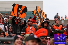 Bengals0075