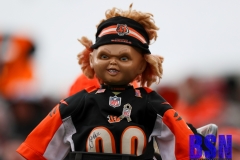 Bengals0076