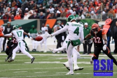 Bengals0077