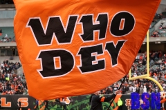 Bengals0080