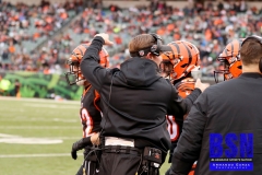 Bengals0082
