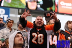 Bengals0085