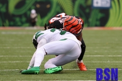 Bengals0089