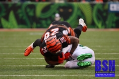 Bengals0090