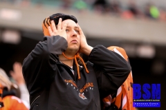 Bengals0091