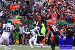 Bengals0094