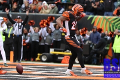 Bengals0097