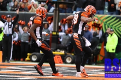 Bengals0098