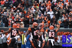 Bengals0100