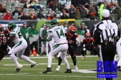 Bengals0103