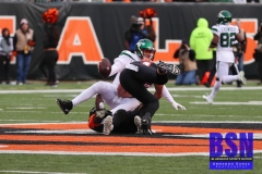 Bengals0104