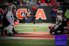 Bengals0105