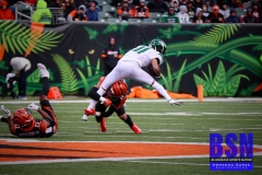 Bengals0107