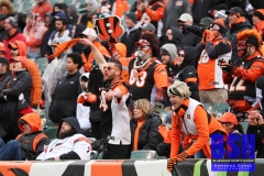 Bengals0108