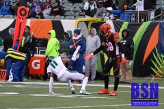 Bengals0109