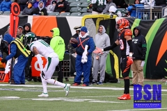 Bengals0110