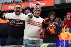 Bengals0112