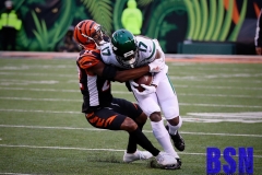 Bengals0116
