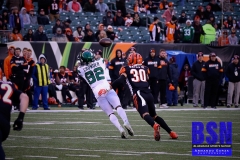 Bengals0117