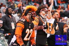 Bengals0118