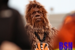 Bengals0119