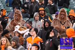 Bengals0120