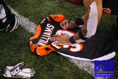 Bengals0124