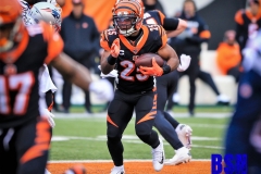 20191215-Bernard-Run-Middle