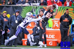 20191215-Eifert-Sideline-Catch