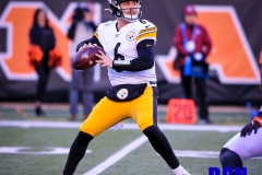 20191124-Hodges-in-Pocket