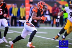 20191124-Mixon-on-Pitch