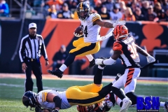 20191124-Snell-Hurdle-2