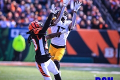 20191124-Steelers-17-Catch