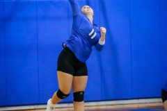 20191029-Brown-Serve