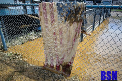 Bobcat-Den-Flood-Pics-7-30-22-31