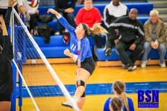 20191108-Brown-at-Net